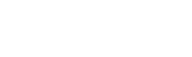 Logo White